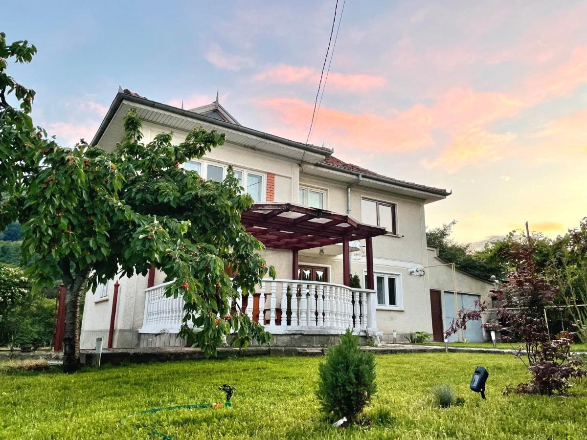 Vila Cozy, Panorama Superba, Gratar Si Relaxare Пьятра-Нямц Экстерьер фото